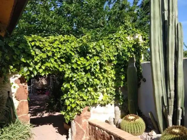 Casa en venda a San Blas, imagen 17