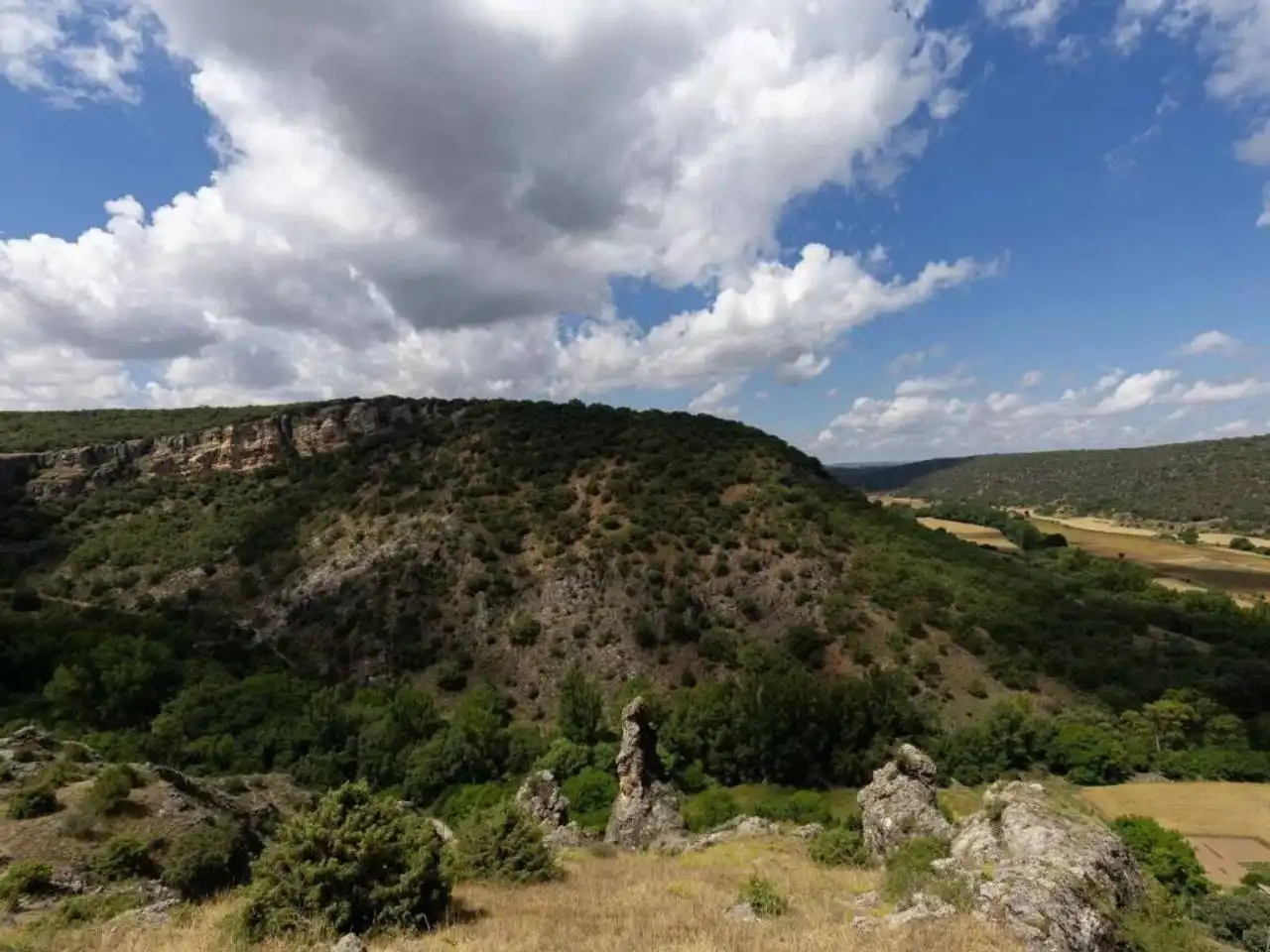 Garten von Gebäude zum Verkauf in Sigüenza