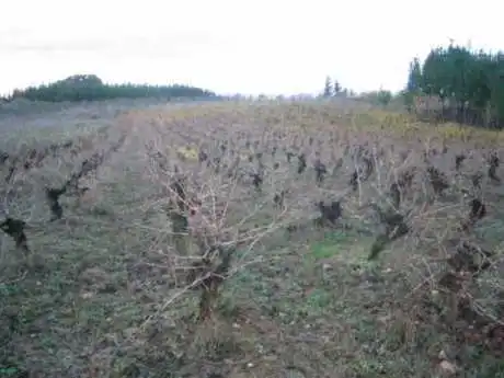 Terreni e lotti in vendita a Cabañas Raras