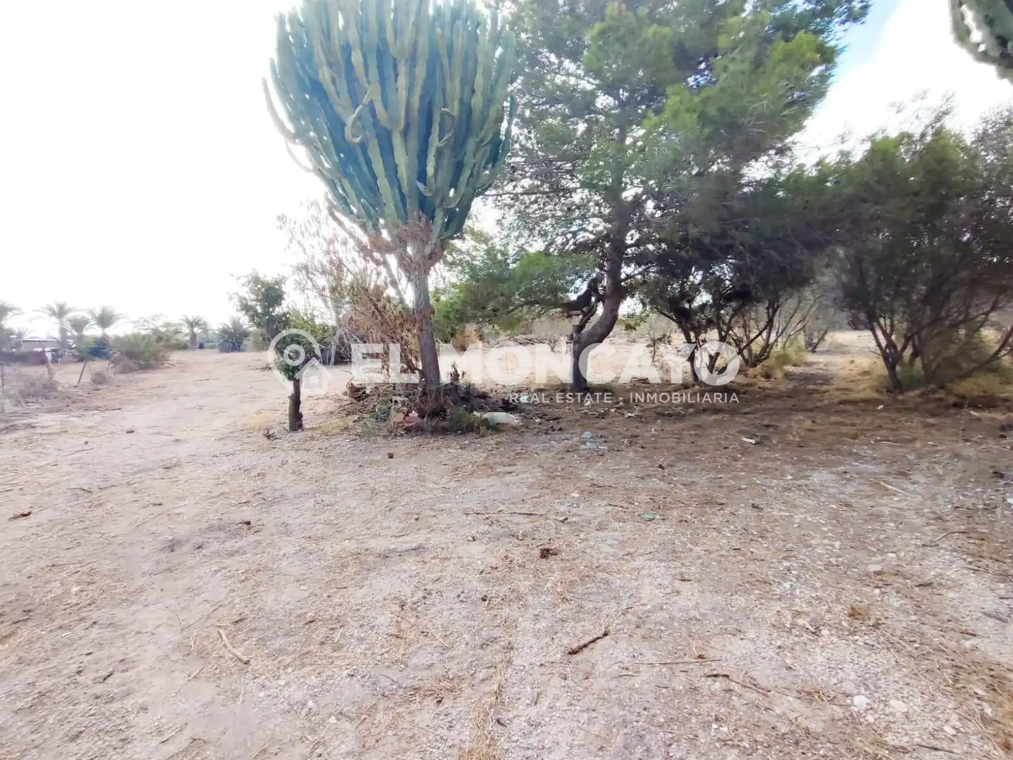 Terreno en venta en Elche / Elx