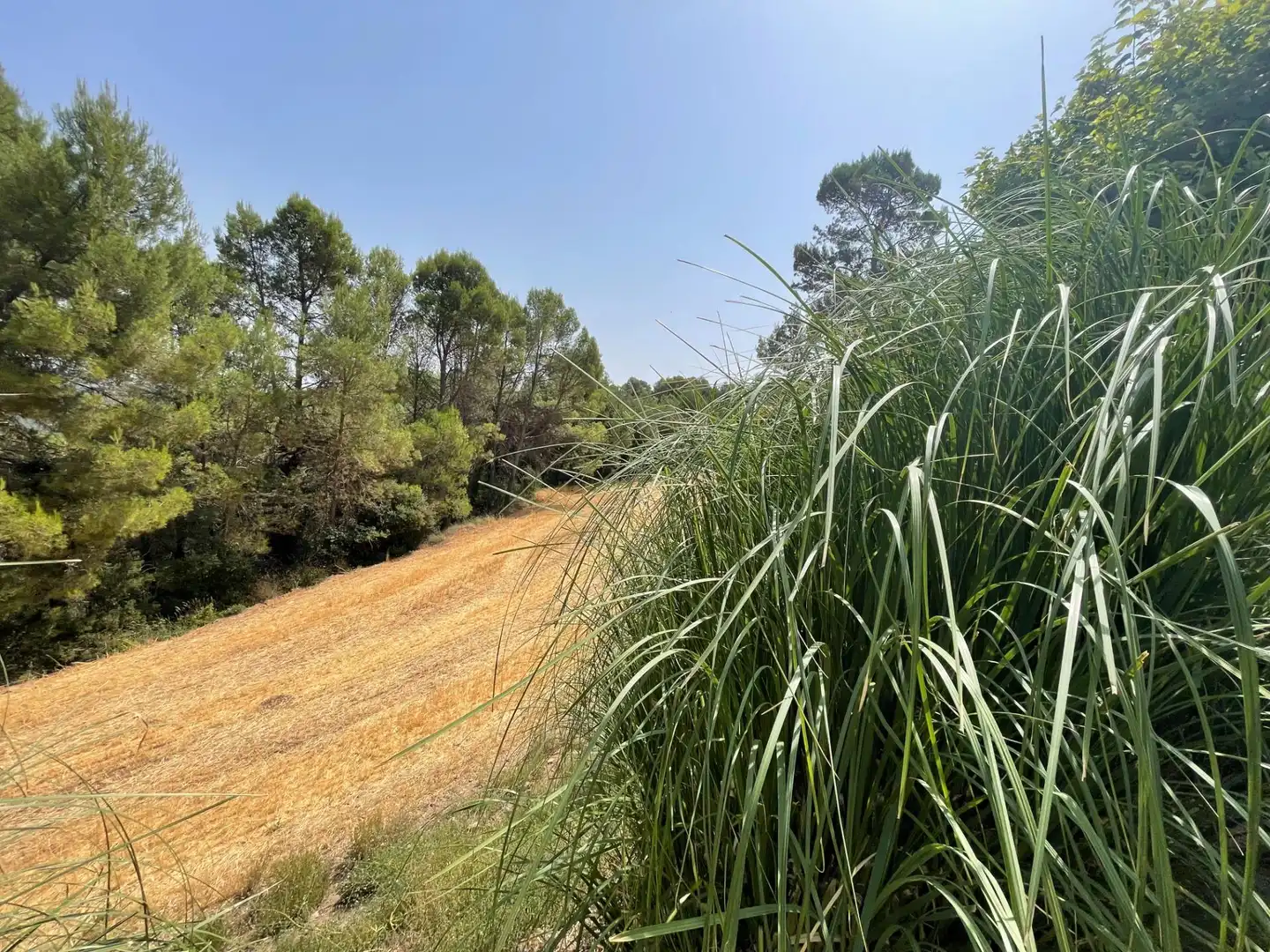 Casa rústica en venda a Aguilar de Segarra, imagen 61