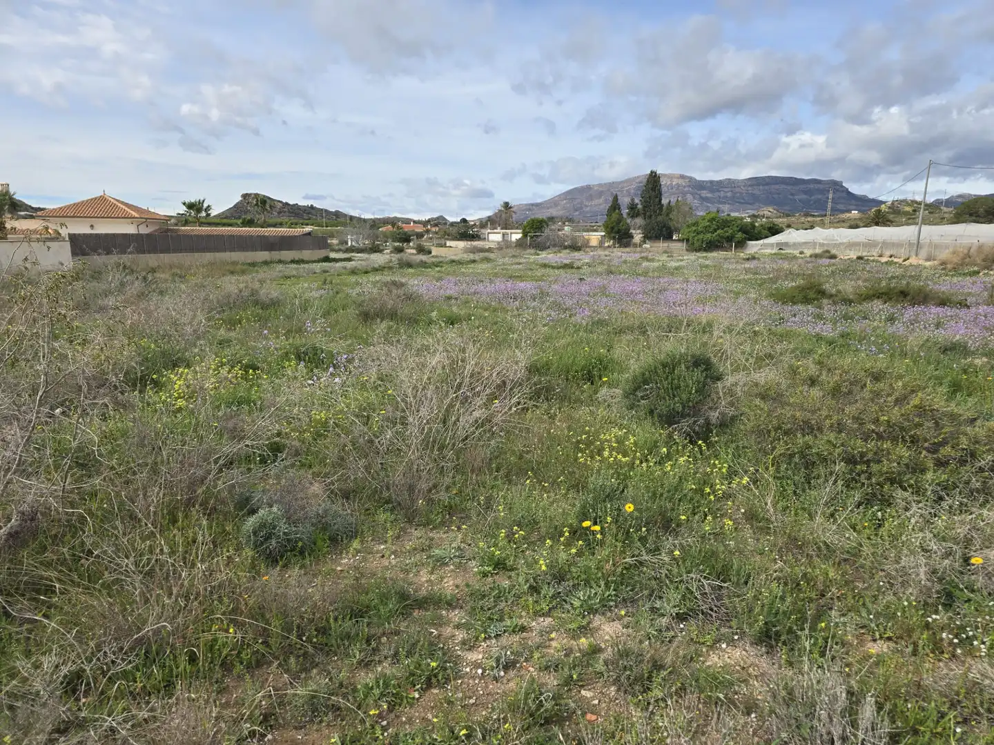 Casa o xalet en venda en Agost amb Traster