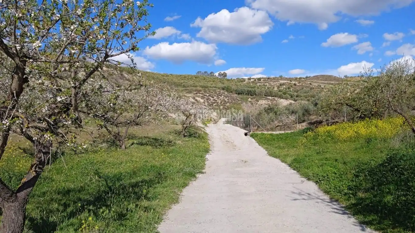 Vista exterior de Terreny en venda en Gójar
