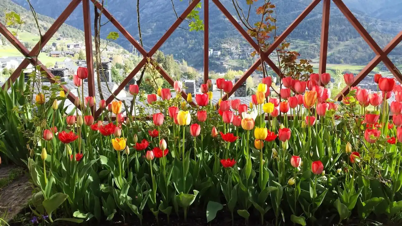Flat for sale in La Massana pueblo, imagen 22