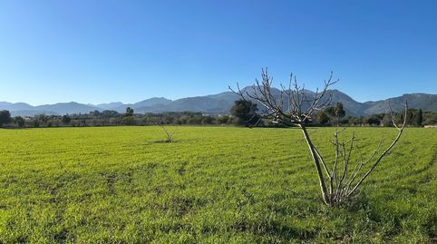 Photo 4 of Residential for sale in Selva, Illes Balears