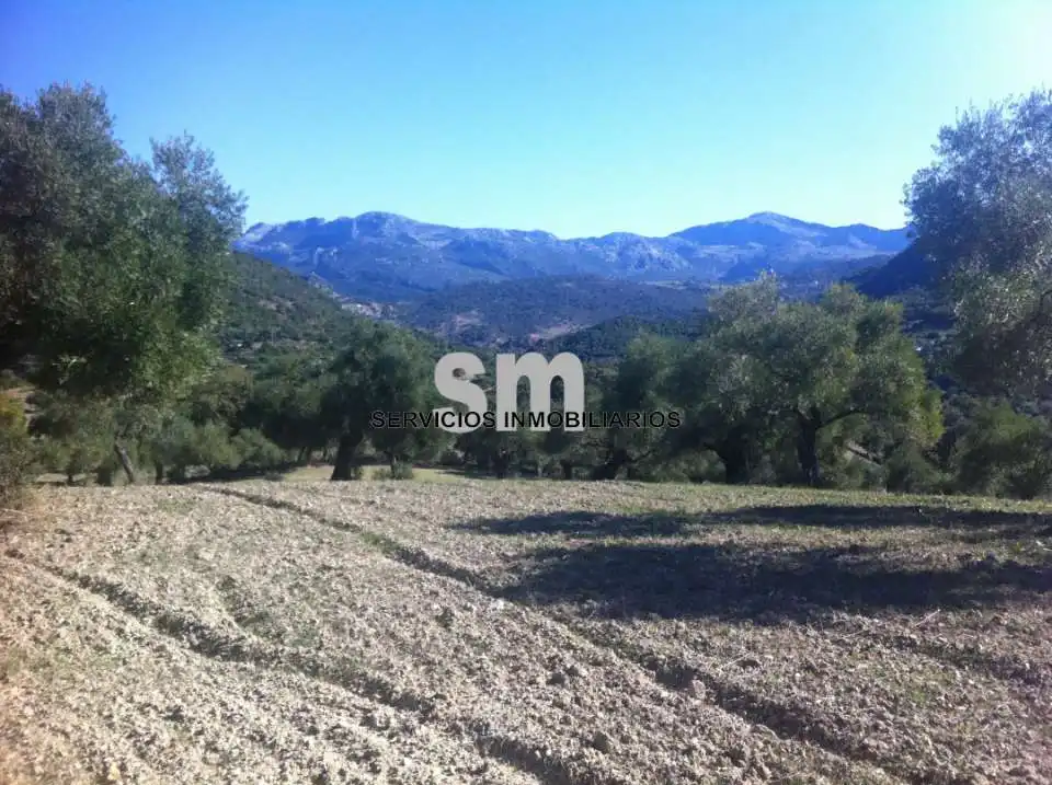 Terreno rustico in vendita a El Bosque, imagen 13