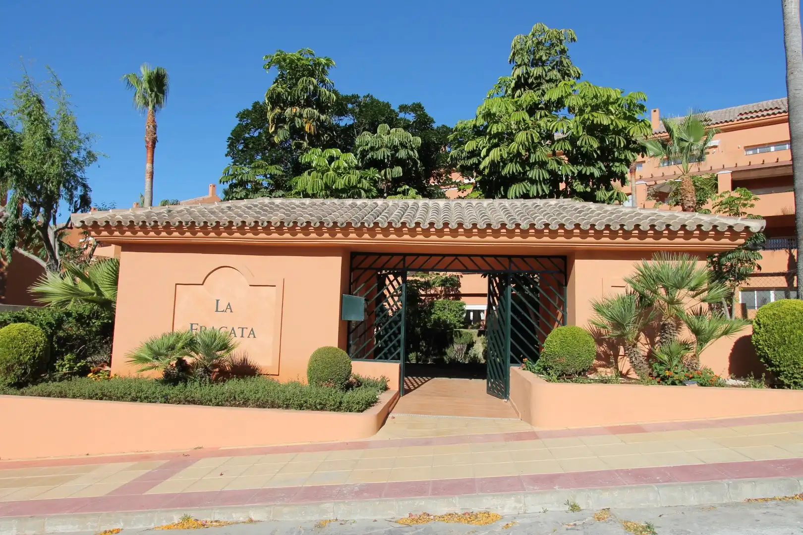 Vista exterior de Planta baja de alquiler en Estepona Pueblo