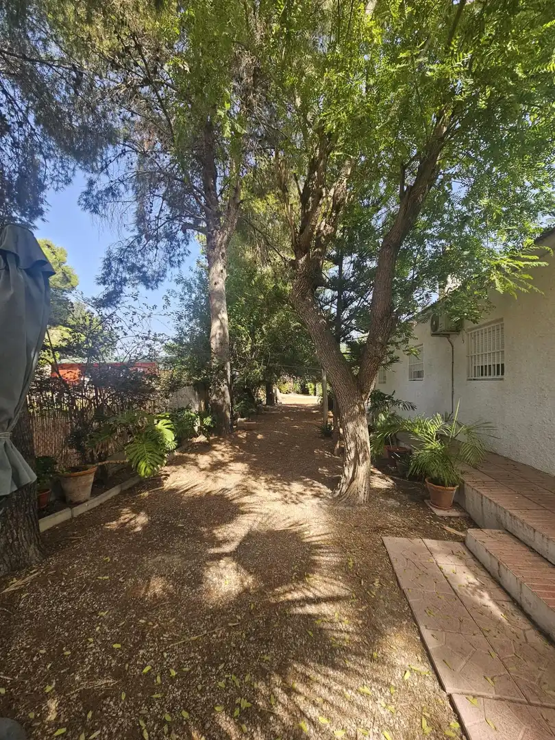 Casa con jardín en venta en Dolores, imagen 27