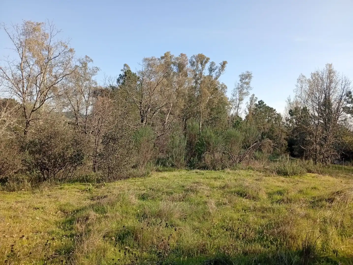 Terreni e lotti in vendita a Villanueva de la Vera, imagen 56