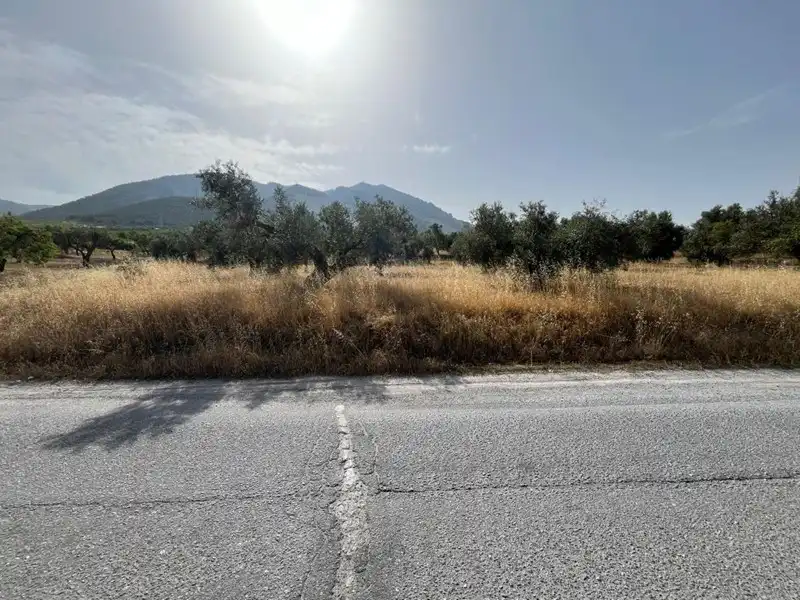 Rural land for sale in Dúrcal