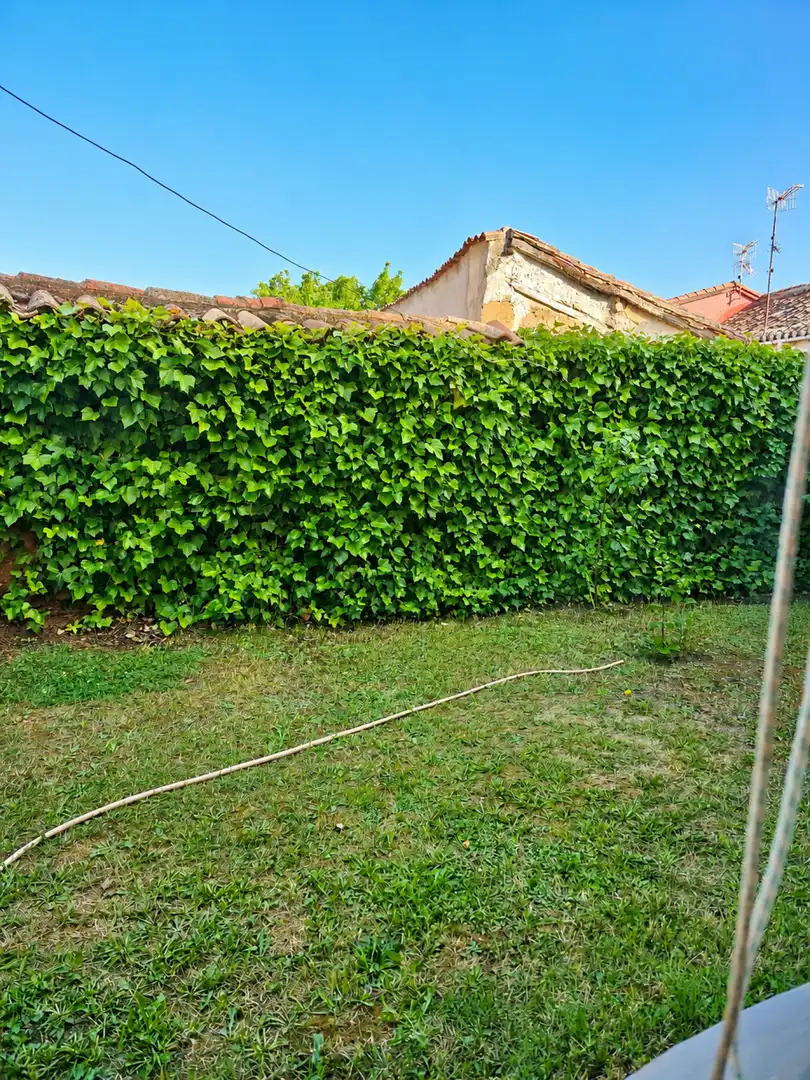 Jardí de Casa o xalet en venda en Herrera de Pisuerga amb Calefacció, Parquet i Traster
