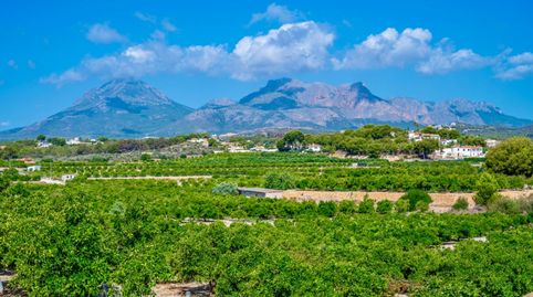 Photo 4 of Houses for sale in Ensanche - Diputación, Alicante / Alacant