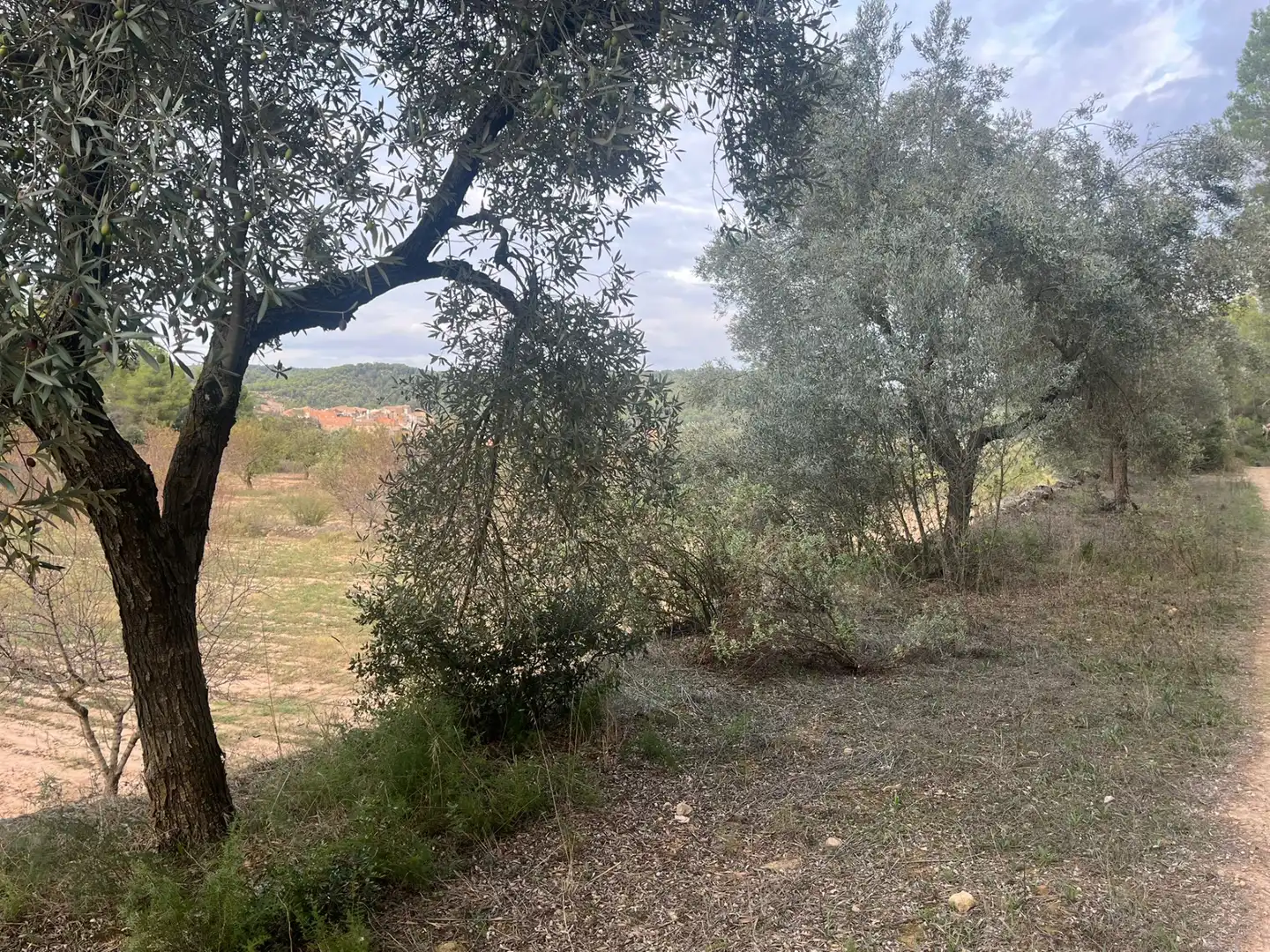 Terreni e lotti in vendita a Arens de Lledó, imagen 6