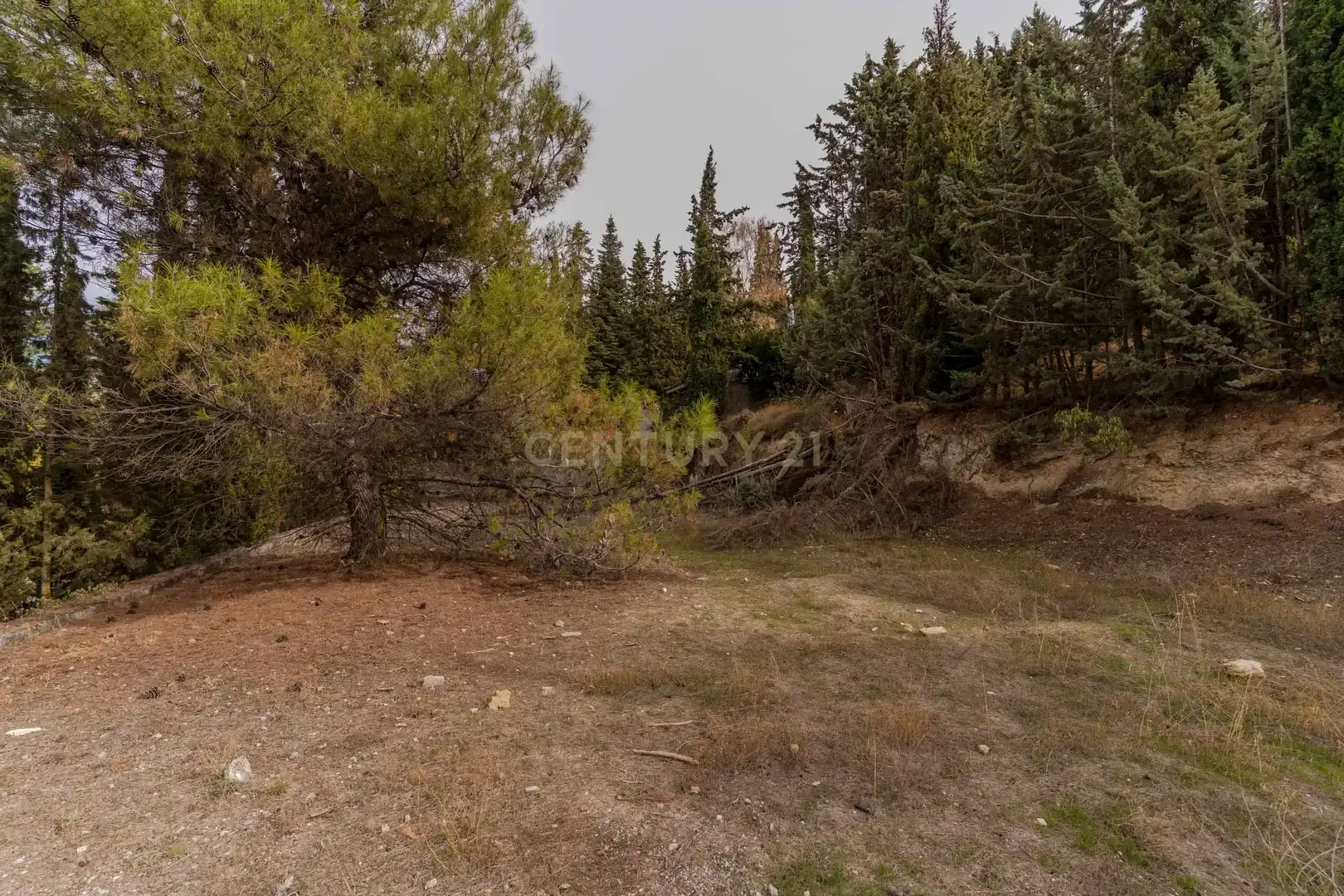 Casa o chalet en venta en La Zubia con Piscina