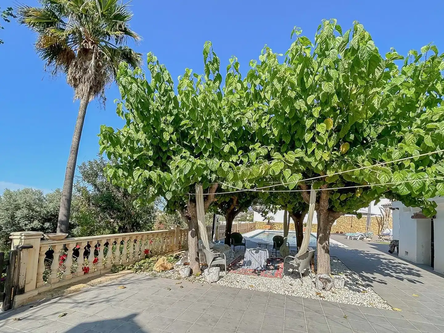 House for sale in Partida de Barranquet, imagen 6