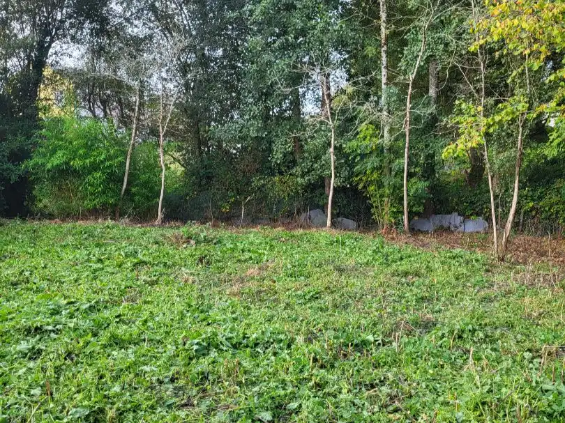 Terreno en venta en Vilalba