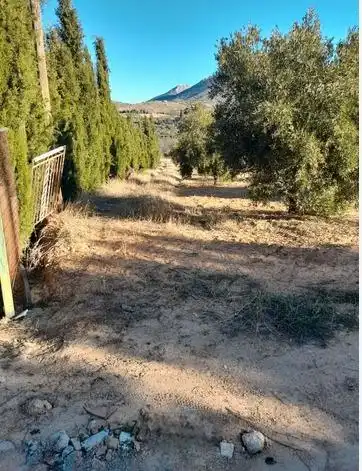 Terreny rústic en venda a Cogollos de la Vega, imagen 8