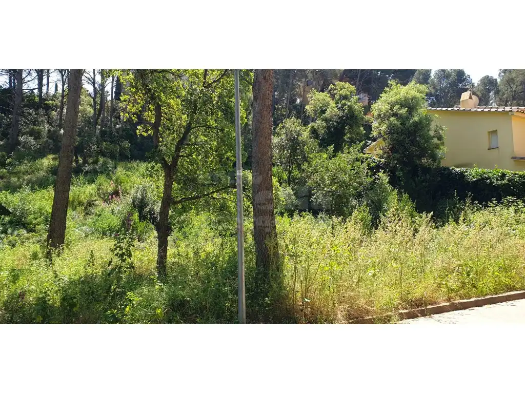 Terrain résidentiel à vendre à Platja de Pals, imagen 5