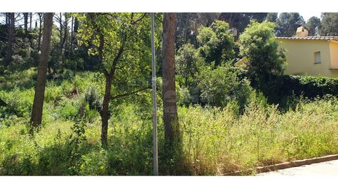 Terreno en Platja de Pals., imatge 5