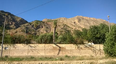 Foto 4 de Finca rústica en venda a Montepinar - La Aparecida - Raiguero, Alicante