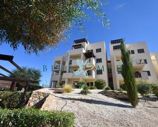 Exterior view of Apartment for sale in  Murcia Capital  with Terrace