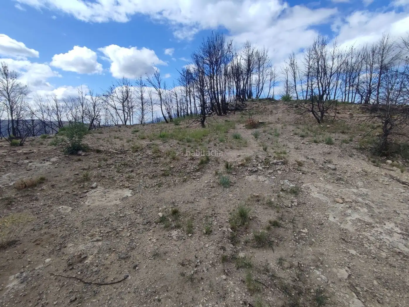 Wohnbaugrundstück zum Verkauf in Carrer Isard 23C, imagen 4