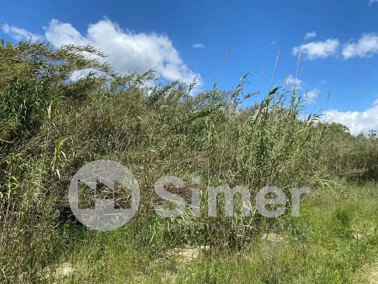 Terreno industrial en venta en Dosrius