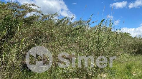 Photo 5 of Industrial land for sale in B-510 Km 2,02 de Argentona a Dosrius, Dosrius poble, Barcelona