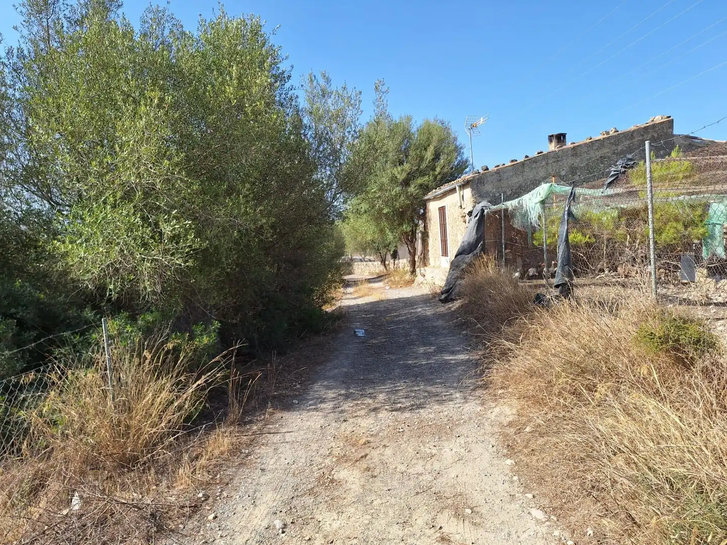 Terreny rústic en venda a Muro