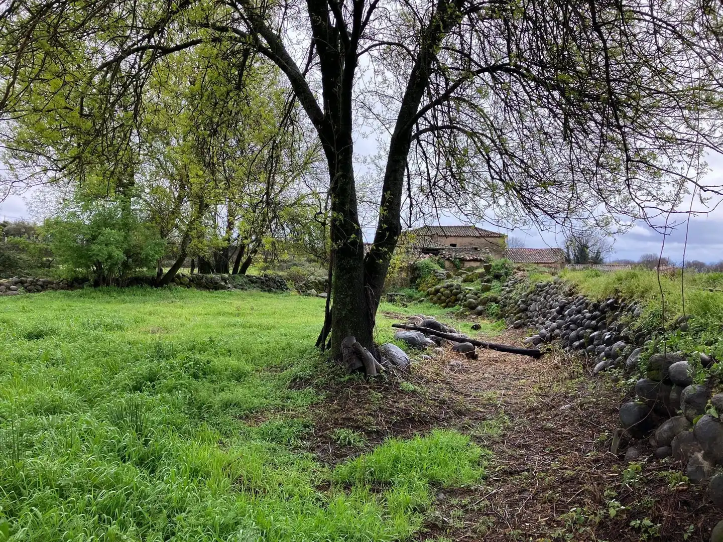 Terreni e lotti in vendita a CAÑADA, imagen 9