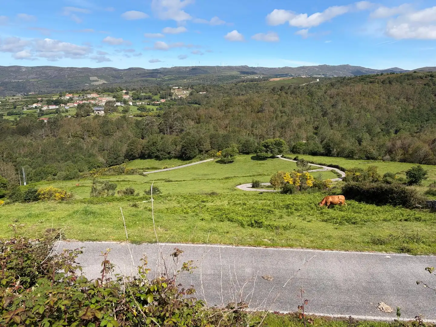 Haus mit Garten zum Verkauf in Covelo, imagen 17