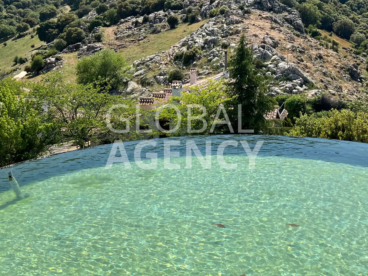 Piscina de Finca rústica en venta en Jaén con Calefacción, Jardín privado y Terraza