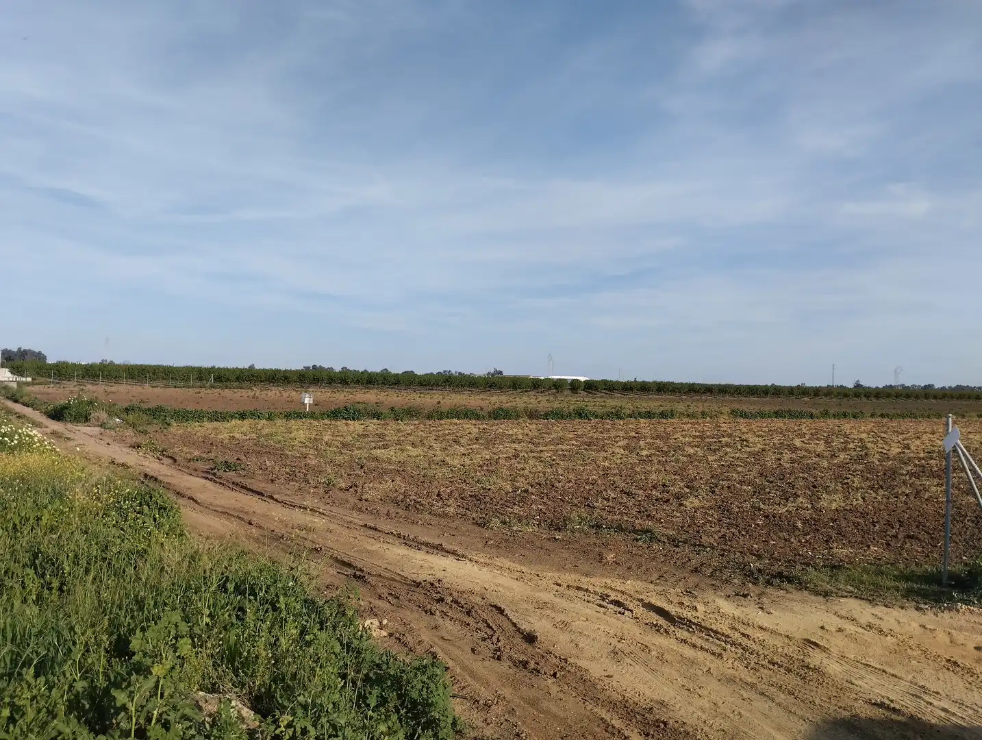 Terreno en venta en Guillena