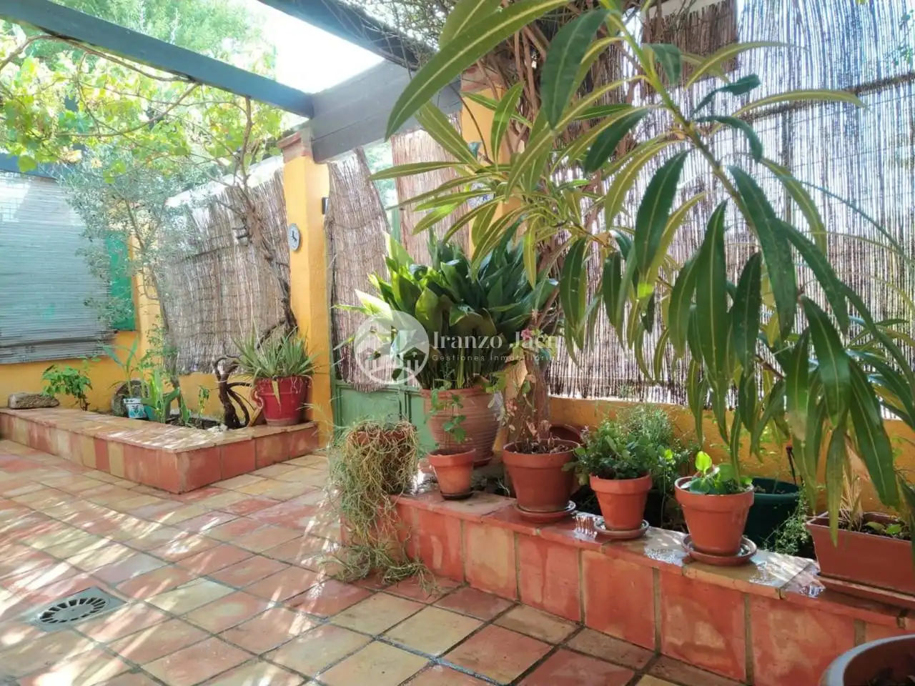 House with garden for sale in Pegalajar, imagen 8