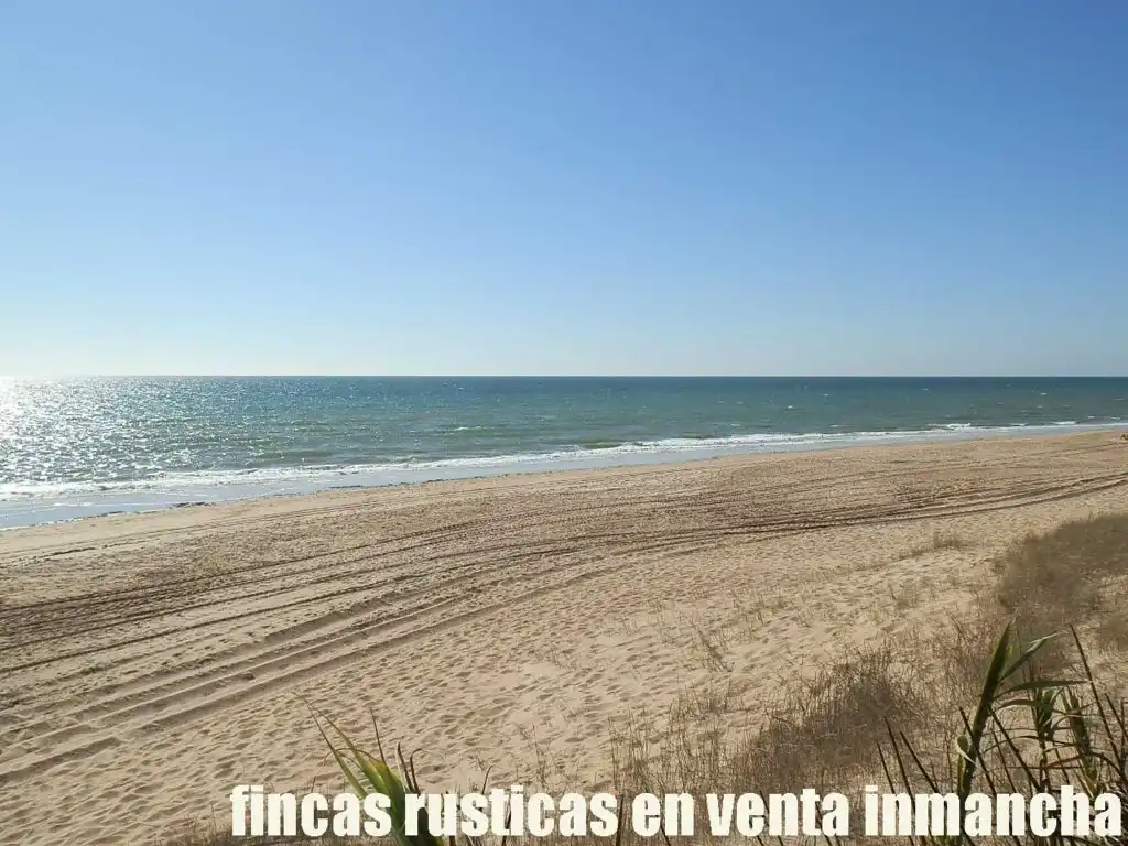 Rural land for sale in Centro - La Costilla, imagen 6