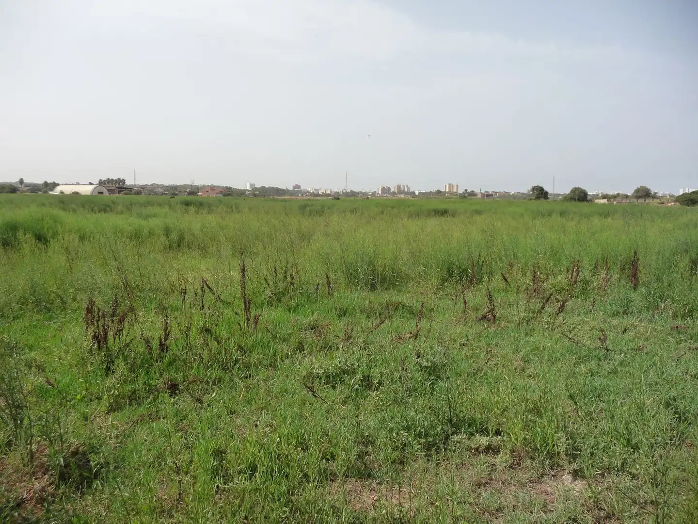 Finca rústica en venda a Son Ferriol