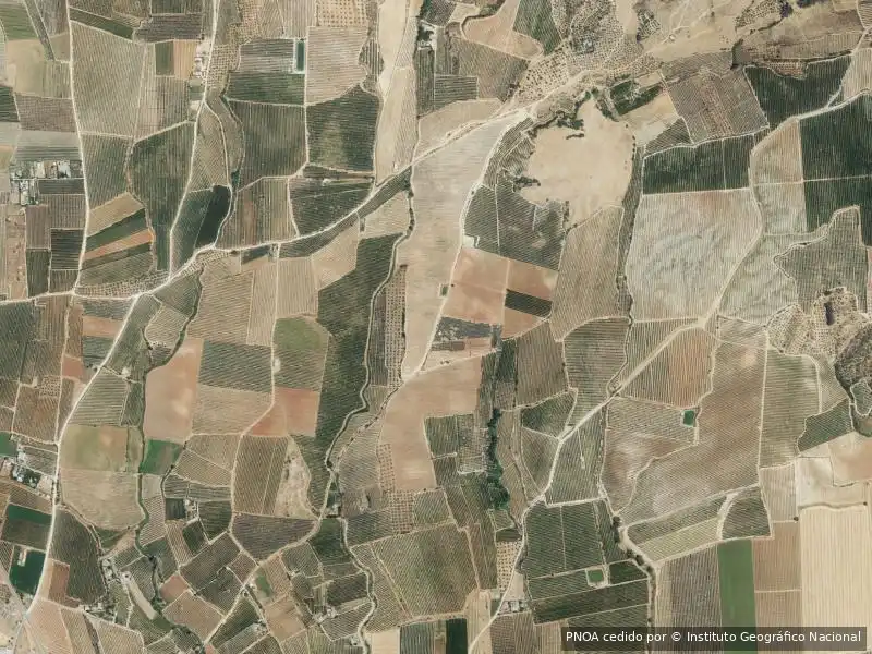Appartamento in vendita a Alcolea del Río, imagen 4