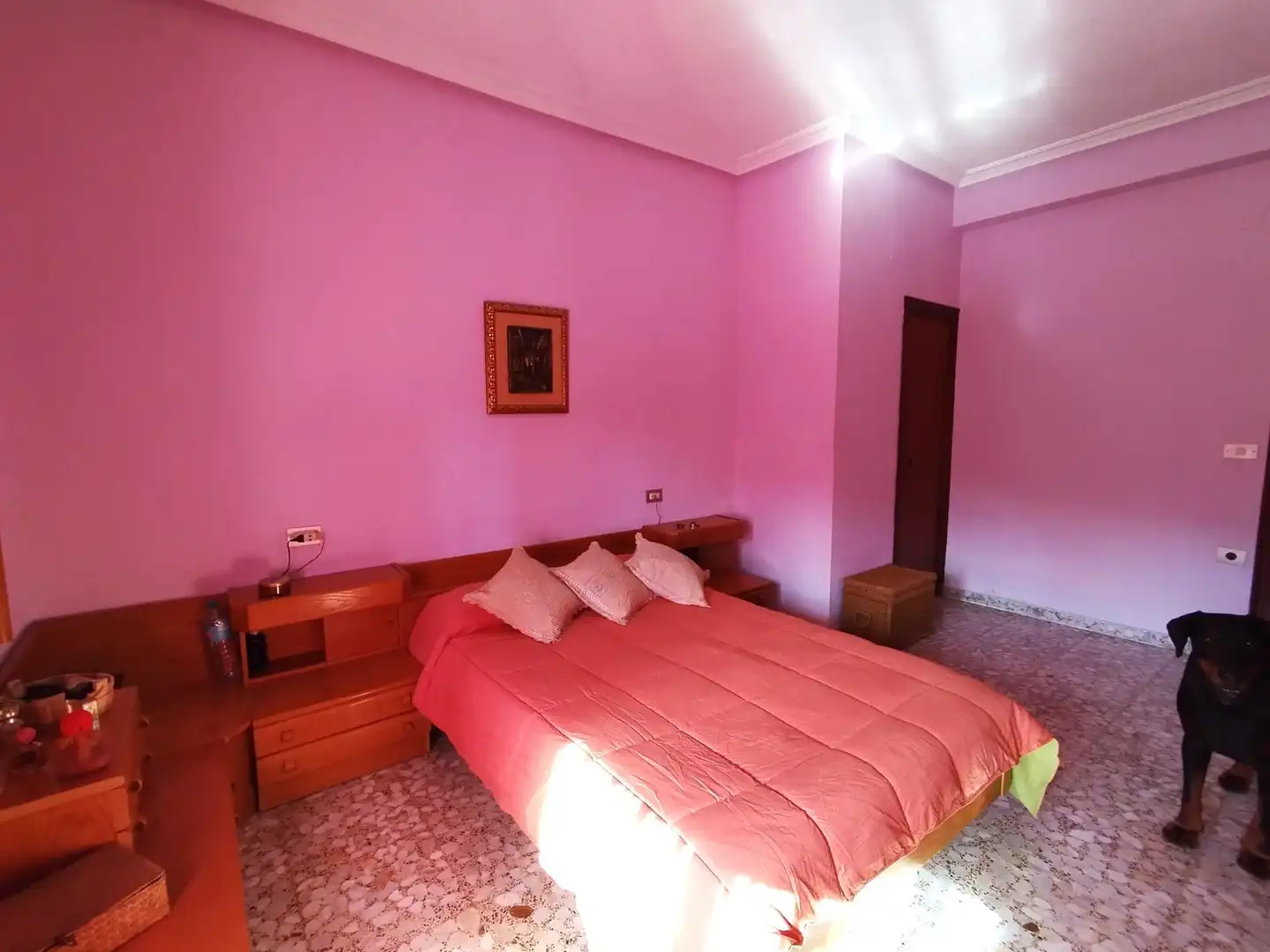Villa con piscina in vendita a Norte, imagen 33