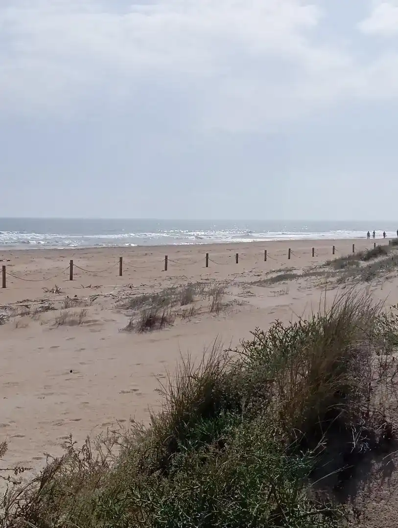 Außenansicht von Wohnungen zur Miete in Oliva mit Klimaanlage, Privatgarten und Möbliert