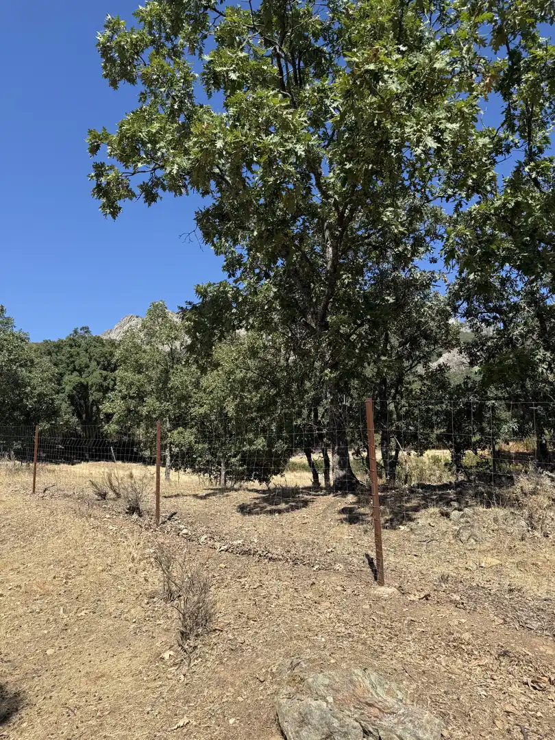 Terreno en venta en Berzocana