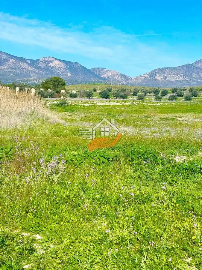 Lands and plots for sale in Pedanías Norte, imagen 10