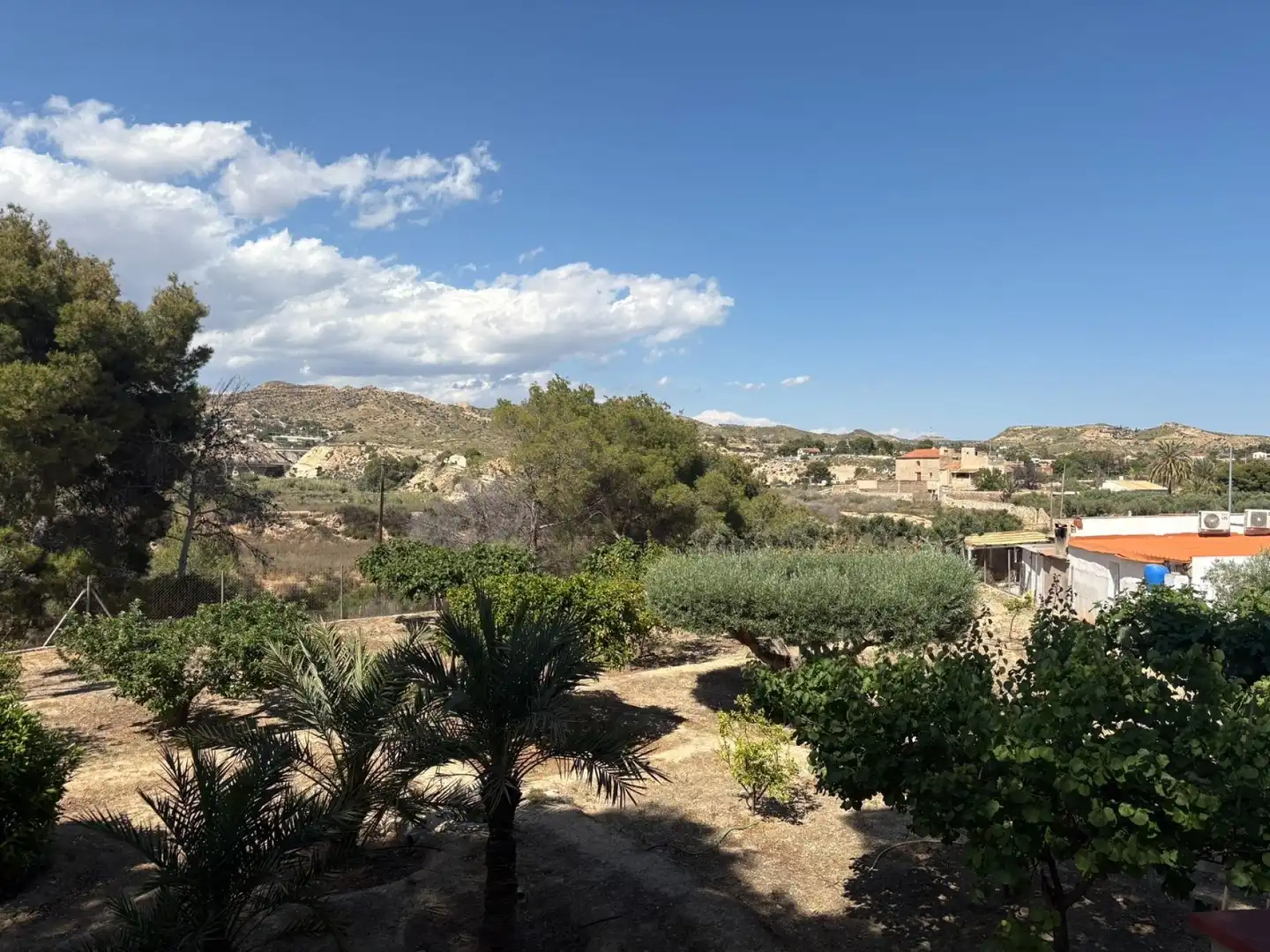 Jardí de Finca rústica en venda en Elche / Elx amb Terrassa