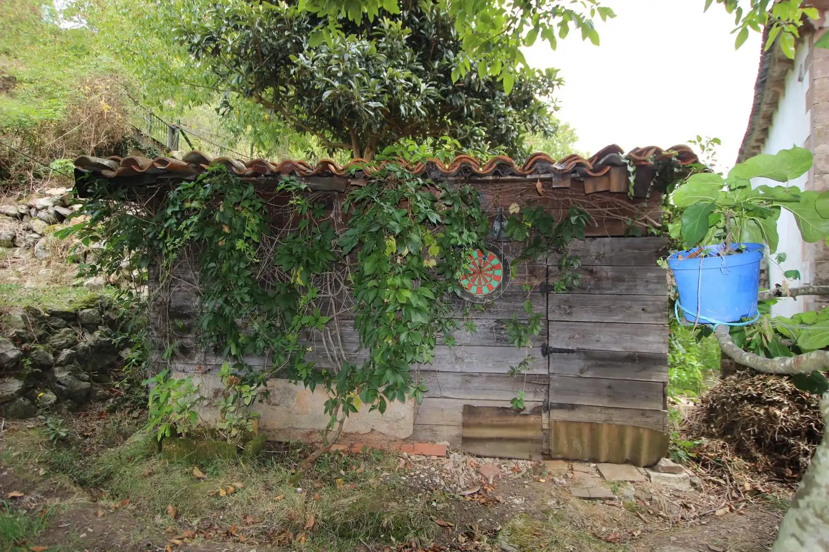 Jardí de Casa o xalet en venda en Cabuérniga amb Jardí privat