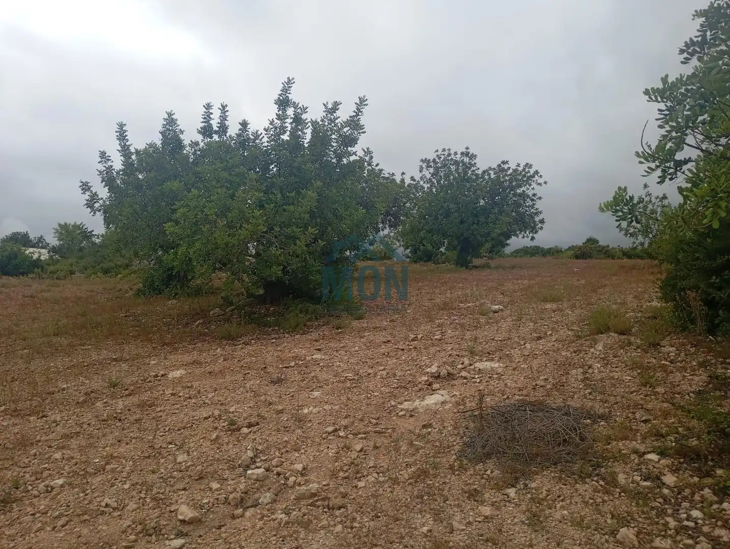 Terreno rustico in vendita a Buñol, imagen 12