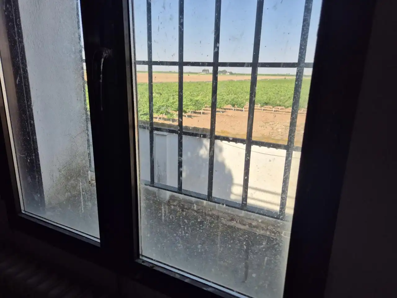 Exterior view of Country homes for sale in Campo de Criptana  with Private garden, Terrace and Swimming Pool