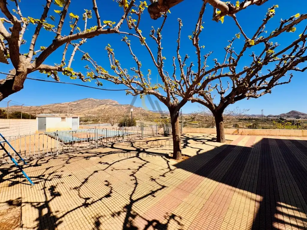 Villa avec piscine à vendre à Poligono 1 Paraje 98 La Serreta, imagen 17