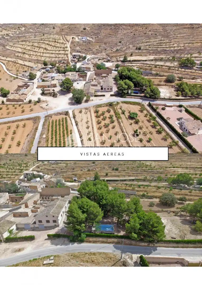 Vista exterior de Finca rústica en venta en El Pinós / Pinoso con Jardín privado, Piscina y Amueblado