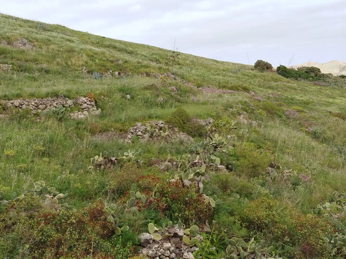 Terrain rustique à vendre à Calle Melian 6, imagen 30