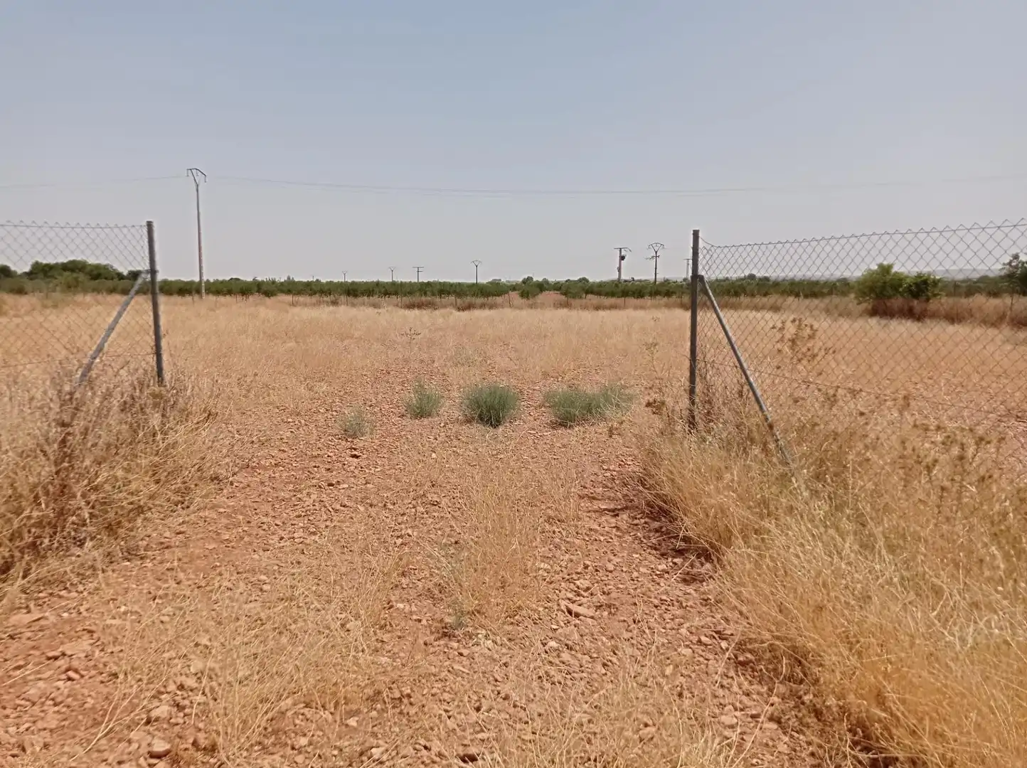 Terreno rustico in vendita a Pozuelo de Calatrava, imagen 9