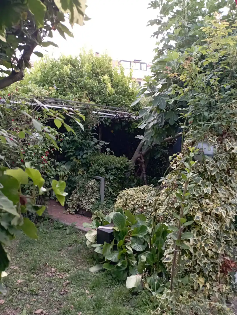Casa amb terrassa en venda a Praza Maior, imagen 17